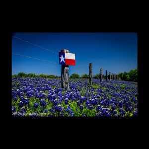 Meet your Posher, Terry